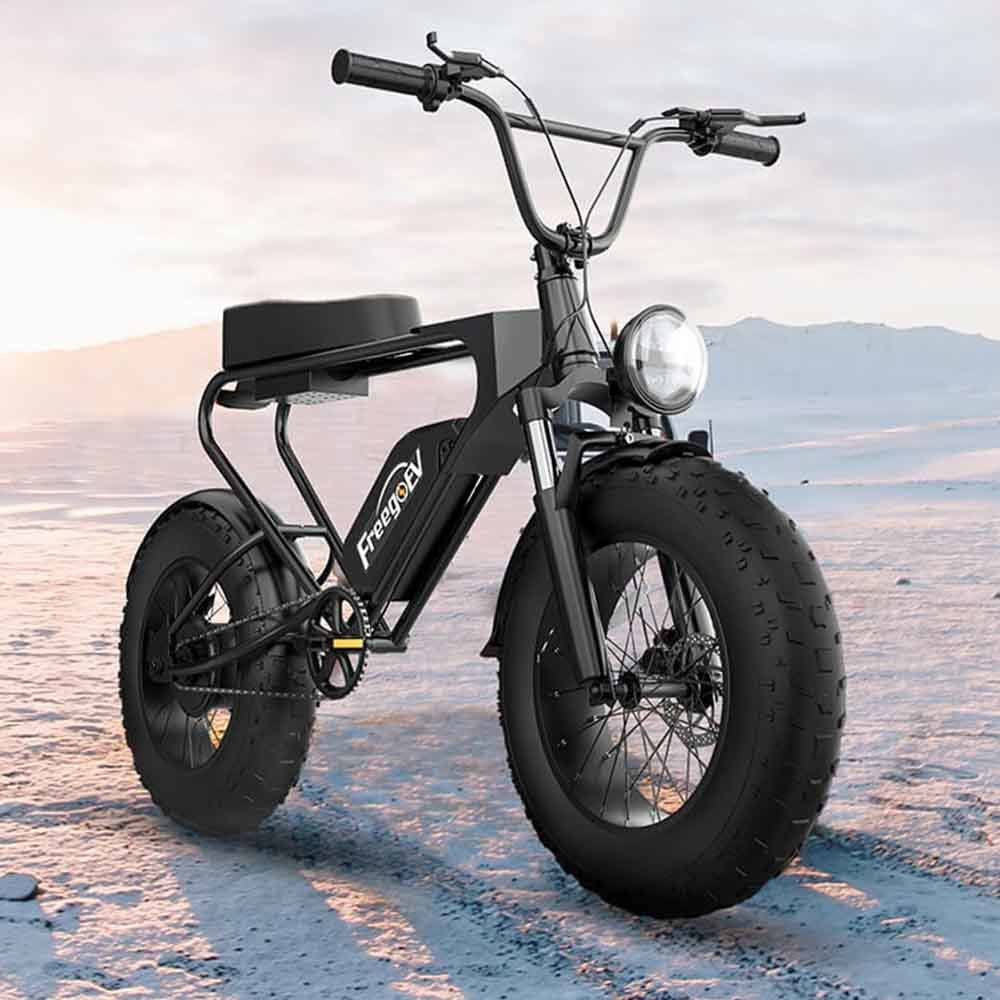 EMB003 Off Road Electric Bike 20'' Fat Tire