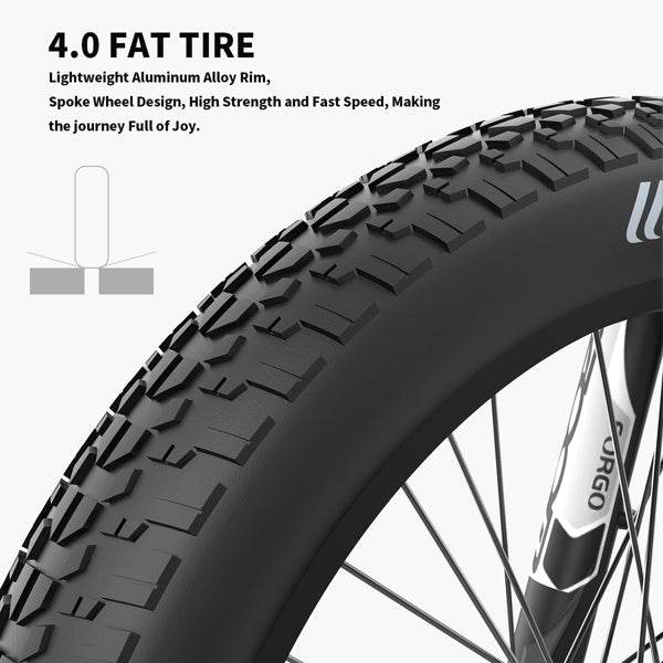 Hot Shot 26" Fat Tire