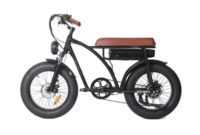 RXF001 Retro Fat Tire 20"