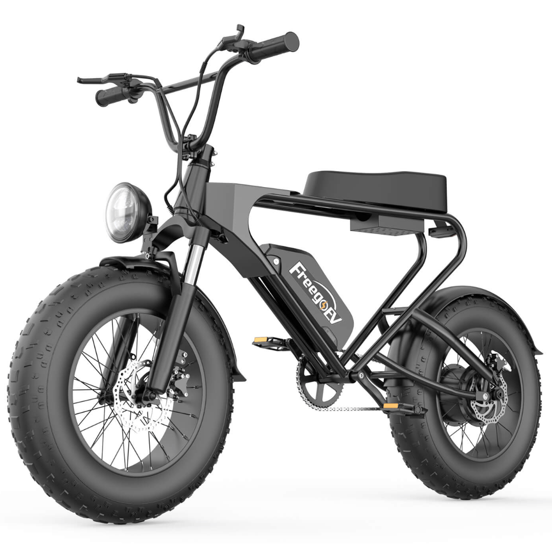 EMB003 Off Road Electric Bike 20'' Fat Tire