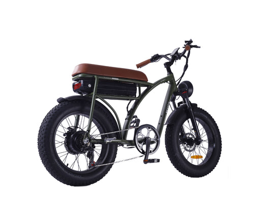 RXF001 Retro Fat Tire 20"