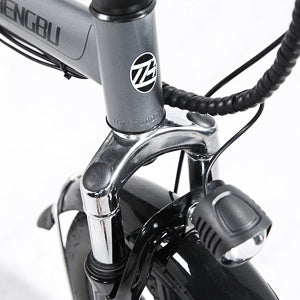 ZHENGBU 14" D3 Commuter Electric Bike